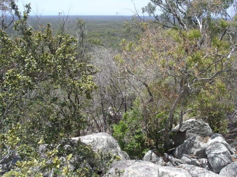 Lot 155 Capricornia Drive, Deepwater QLD 4674