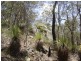 Lot 155 Capricornia Drive, Deepwater QLD 4674