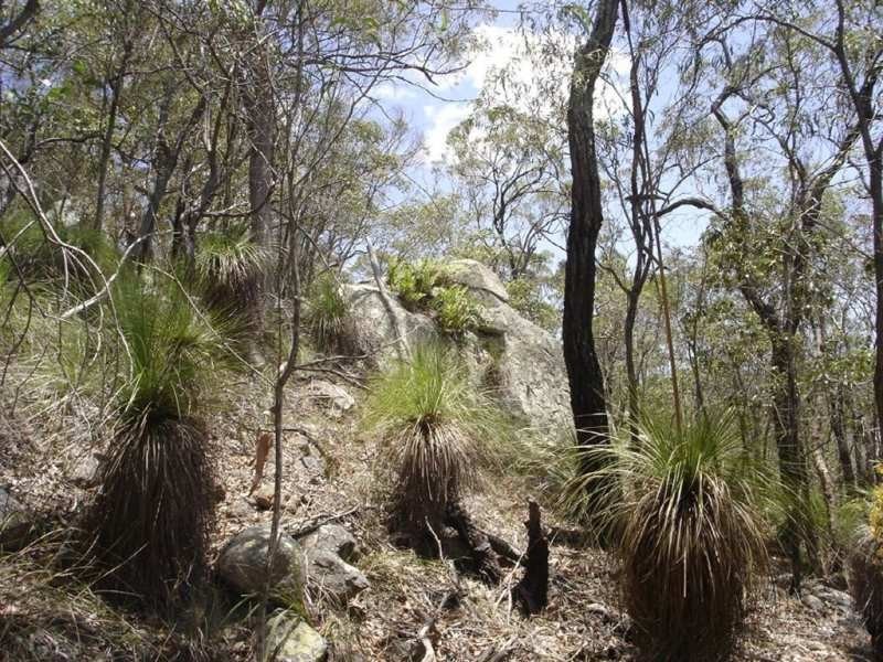 Lot 155 Capricornia Drive, Deepwater QLD 4674
