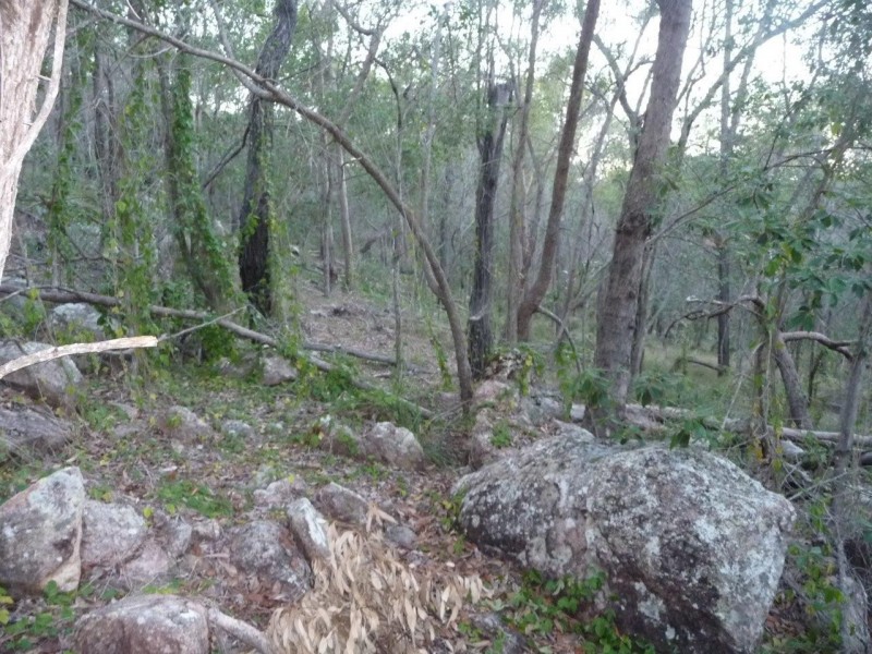 Lot 155 Capricornia Drive, Deepwater QLD 4674