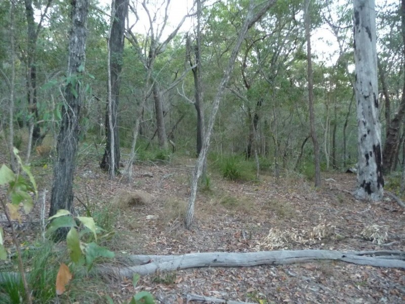 Lot 155 Capricornia Drive, Deepwater QLD 4674