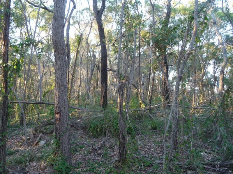 Lot 155 Capricornia Drive, Deepwater QLD 4674
