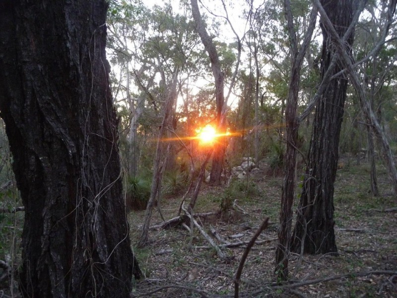 Lot 155 Capricornia Drive, Deepwater QLD 4674