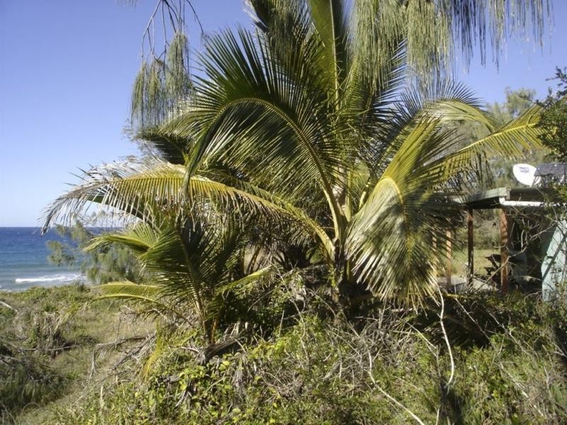 219 Kate Avenue, Deepwater QLD 4674