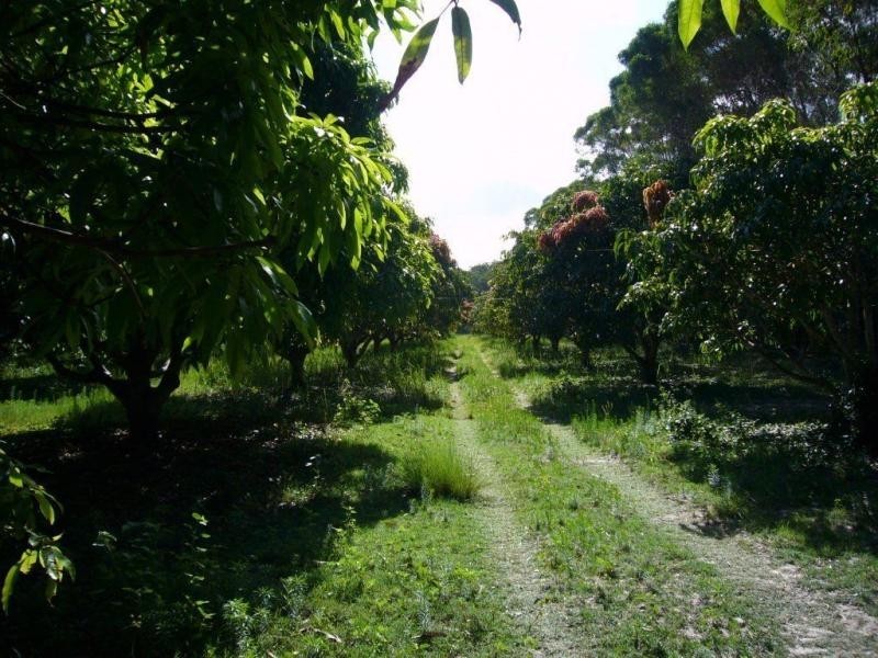 219 Kate Avenue, Deepwater QLD 4674