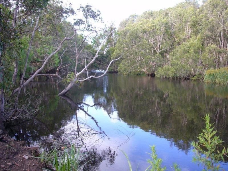 219 Kate Avenue, Deepwater QLD 4674