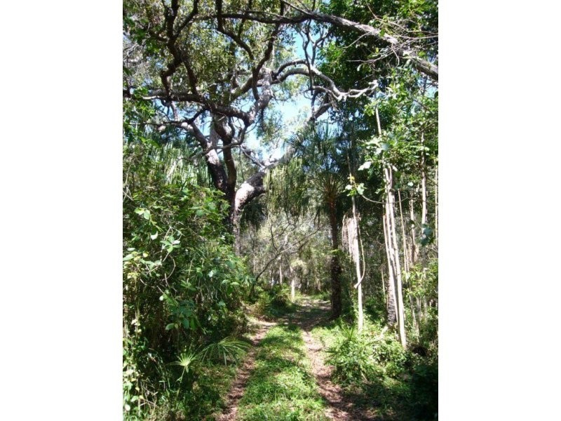 219 Kate Avenue, Deepwater QLD 4674