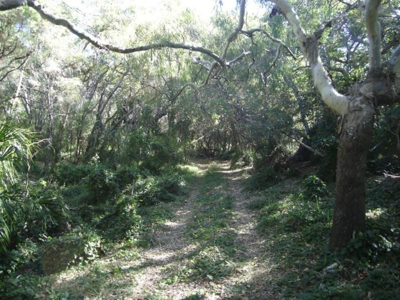 219 Kate Avenue, Deepwater QLD 4674