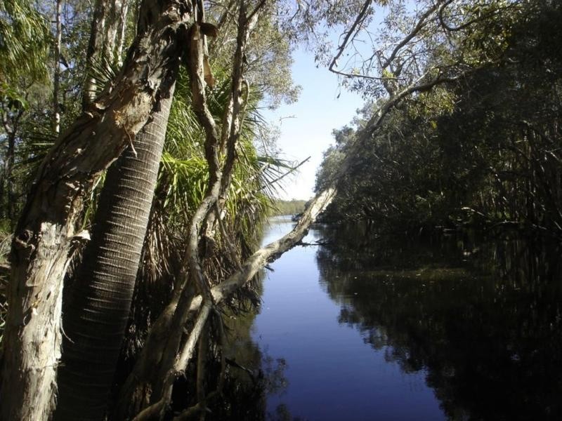 219 Kate Avenue, Deepwater QLD 4674