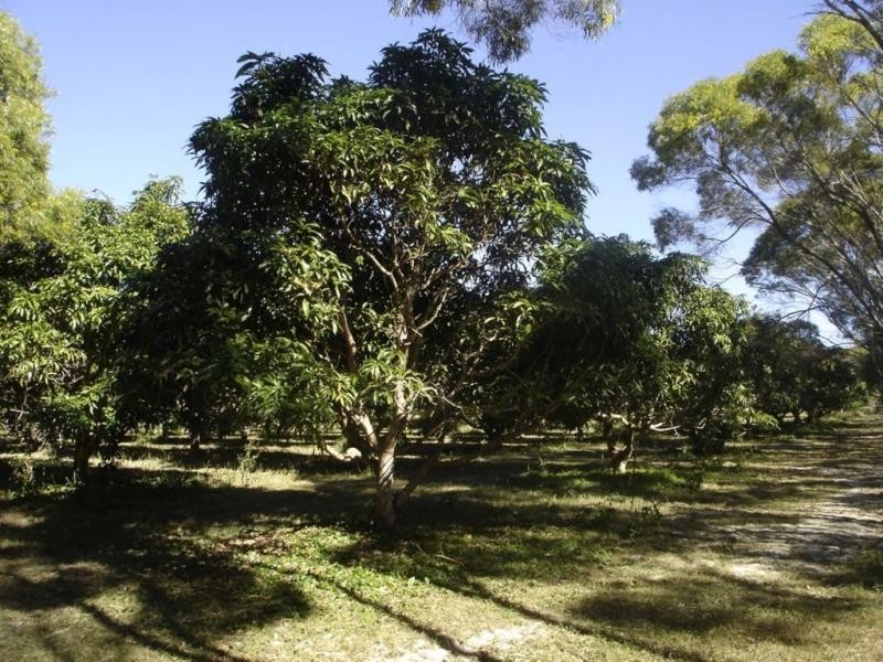 219 Kate Avenue, Deepwater QLD 4674