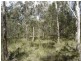 Lot 140 Capricornia Drive, Deepwater QLD 4674