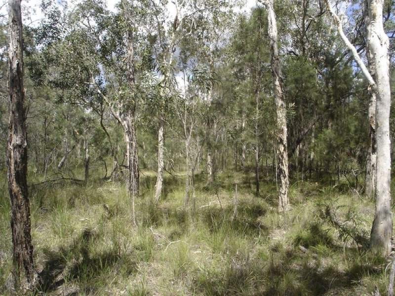 Lot 140 Capricornia Drive, Deepwater QLD 4674