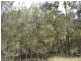 Lot 140 Capricornia Drive, Deepwater QLD 4674