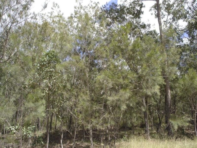 Lot 140 Capricornia Drive, Deepwater QLD 4674