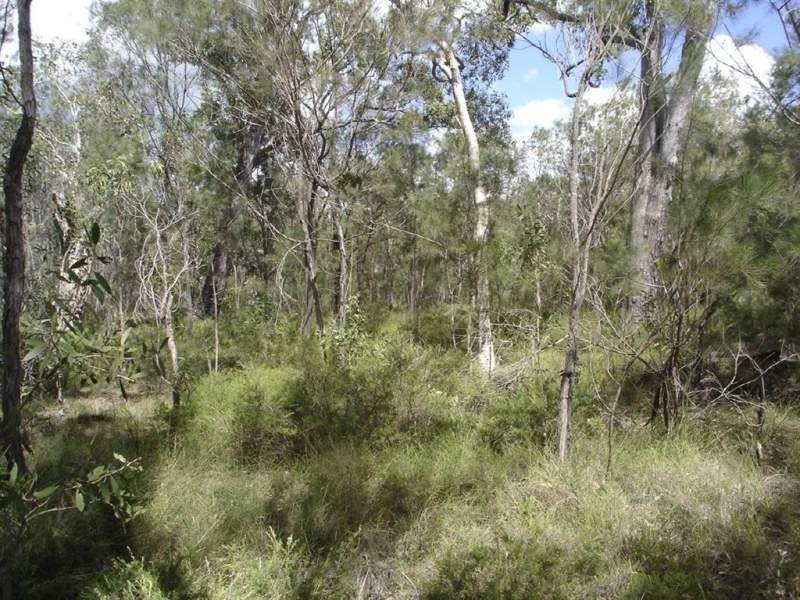 Lot 140 Capricornia Drive, Deepwater QLD 4674
