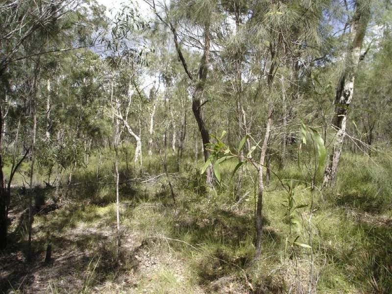 Lot 140 Capricornia Drive, Deepwater QLD 4674