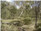 Lot 140 Capricornia Drive, Deepwater QLD 4674