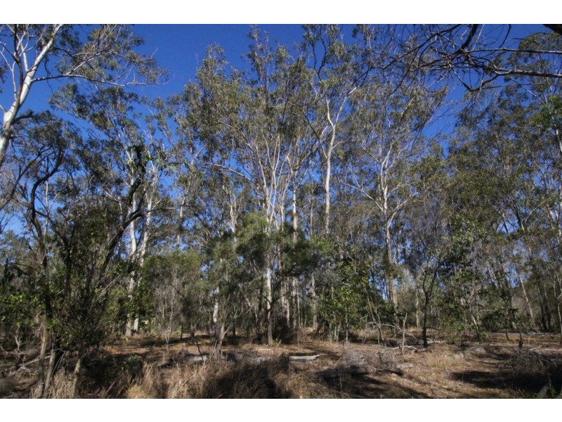 54 Kassman Drive, Rosedale QLD 4674