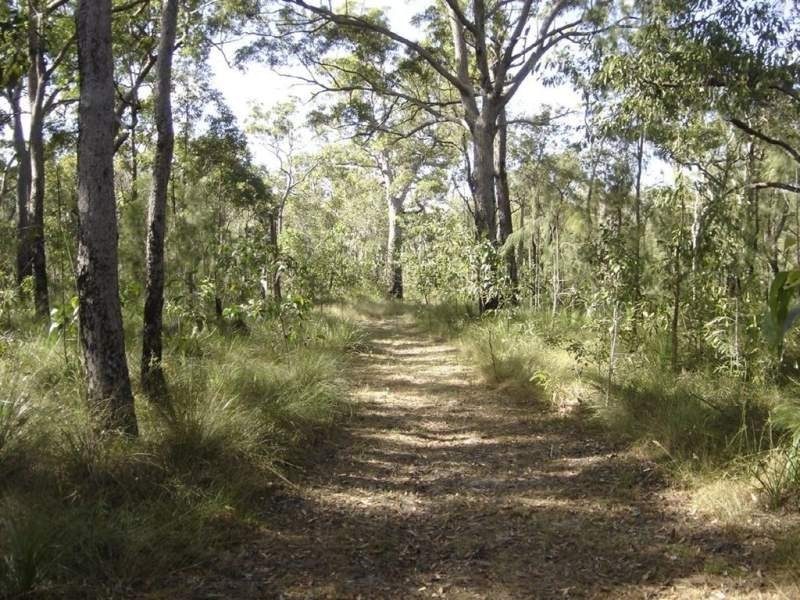 803 Capricornia Drive, Deepwater QLD 4674