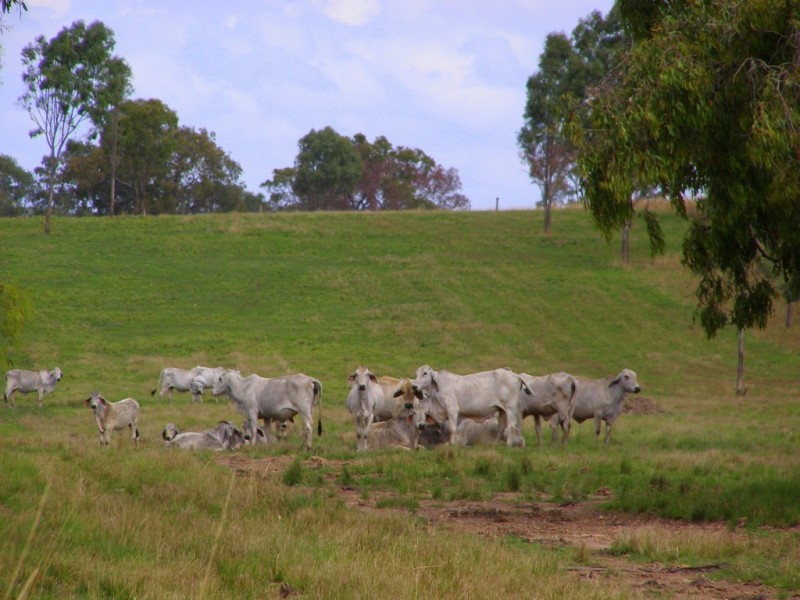 50 Tableland Road, Mount Tom QLD 4677