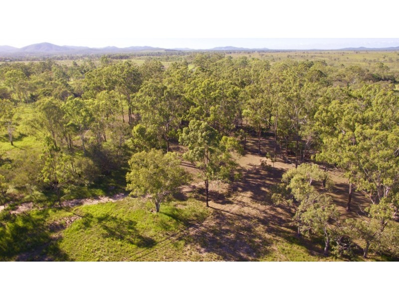 50 Tableland Road, Mount Tom QLD 4677