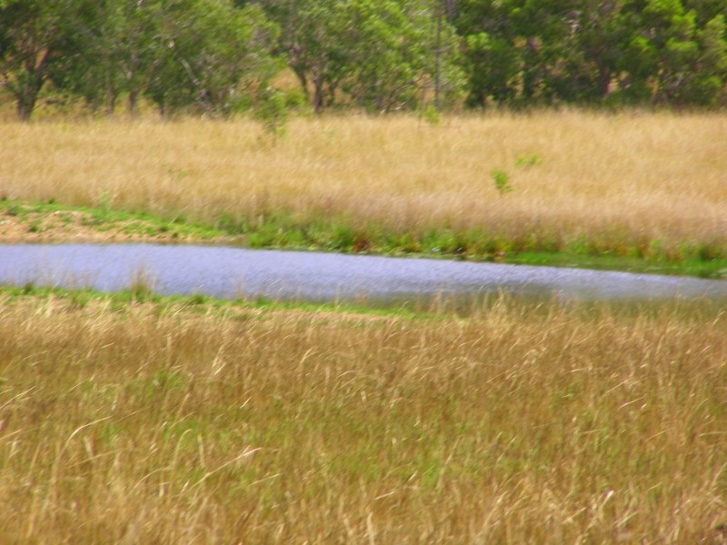 50 Tableland Road, Mount Tom QLD 4677