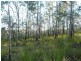 Lot 15 Creevey Drive, Captain Creek QLD 4677