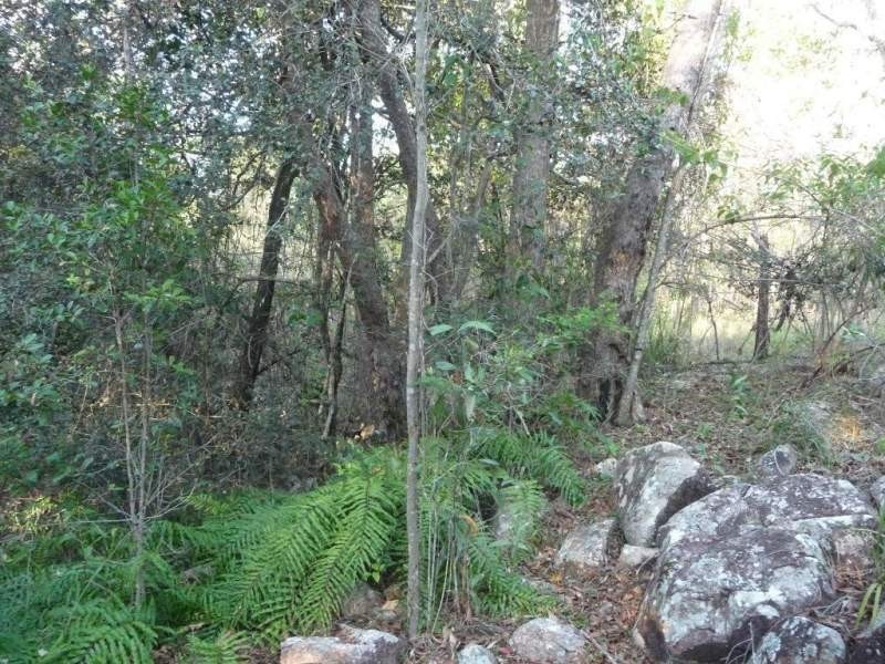 Lot 15 Creevey Drive, Captain Creek QLD 4677