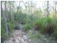 Lot 15 Creevey Drive, Captain Creek QLD 4677
