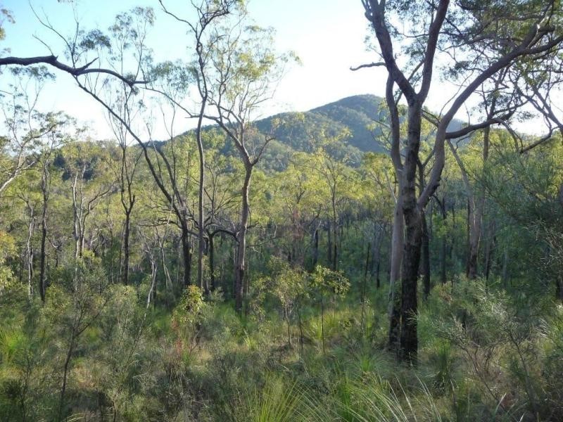 Lot 15 Creevey Drive, Captain Creek QLD 4677