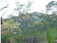 Lot 15 Creevey Drive, Captain Creek QLD 4677