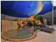 13 Webster Court, Agnes Water QLD 4677