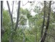L185 Innamincka Way, Agnes Water QLD 4677