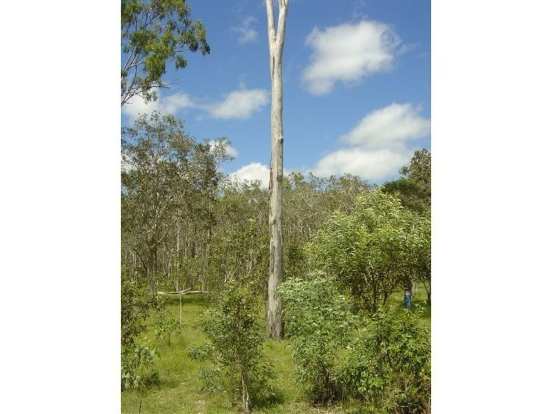 Lot 10 Palm Grove Road, Round Hill QLD 4677