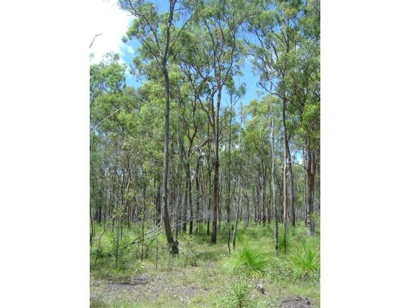 Lot 10 Palm Grove Road, Round Hill QLD 4677