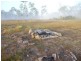 730 Round Hill Road, Captain Creek QLD 4677