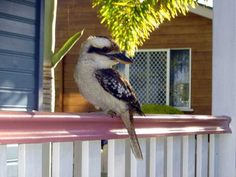 32 Grahame Colyer Drive, Agnes Water QLD 4677