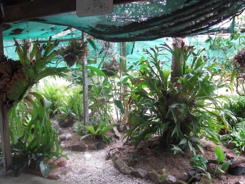 32 Streeter Drive, Agnes Water QLD 4677