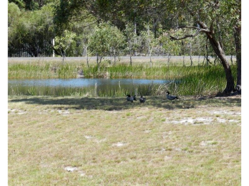 169 Bicentennial Dr, Agnes Water QLD 4677