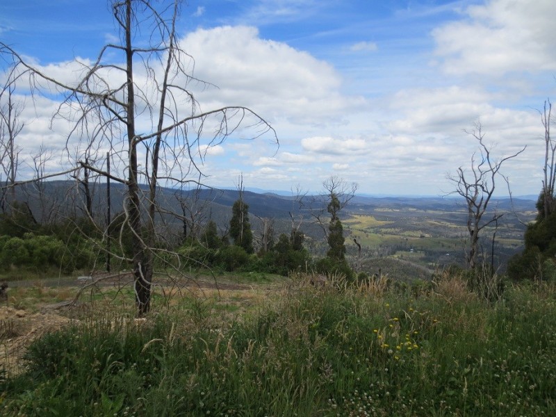 48 Pine Ridge Road, Kinglake West VIC 3757 the real estate agency