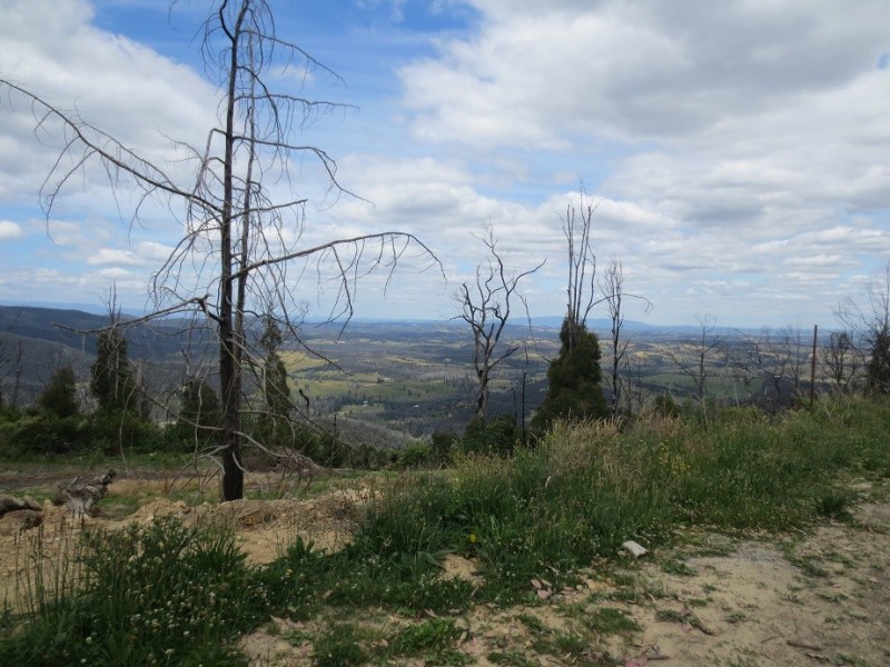 48 Pine Ridge Road, Kinglake West VIC 3757