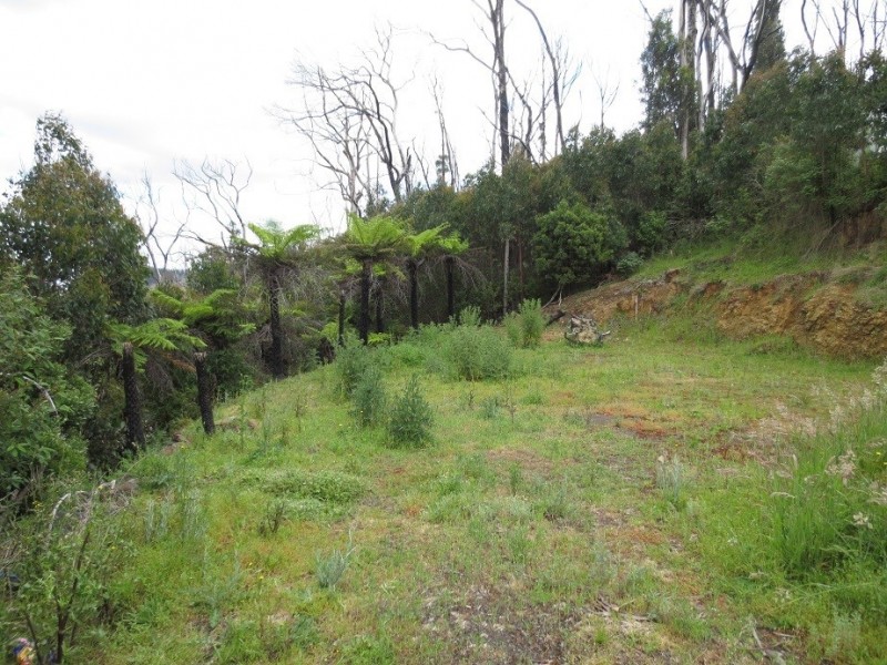 48 Pine Ridge Road, Kinglake West VIC 3757 the real estate agency