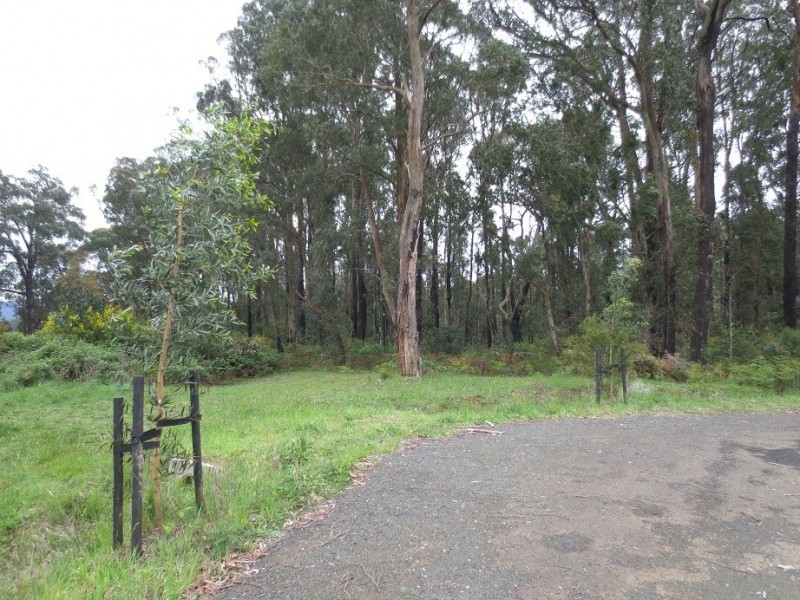 36 Amlyn court, Kinglake West VIC 3757