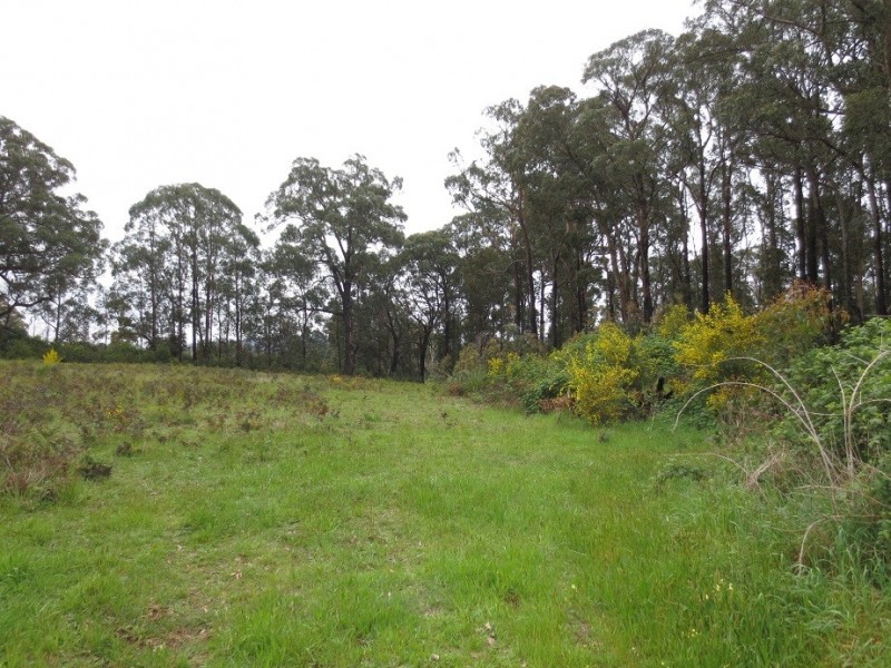 36 Amlyn court, Kinglake West VIC 3757