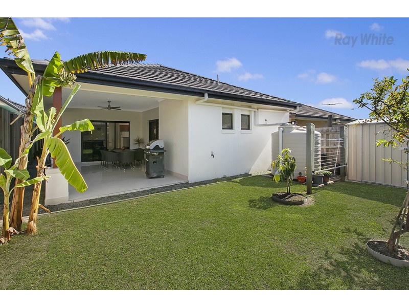 33 Kangaroo Street, North Lakes QLD 4509