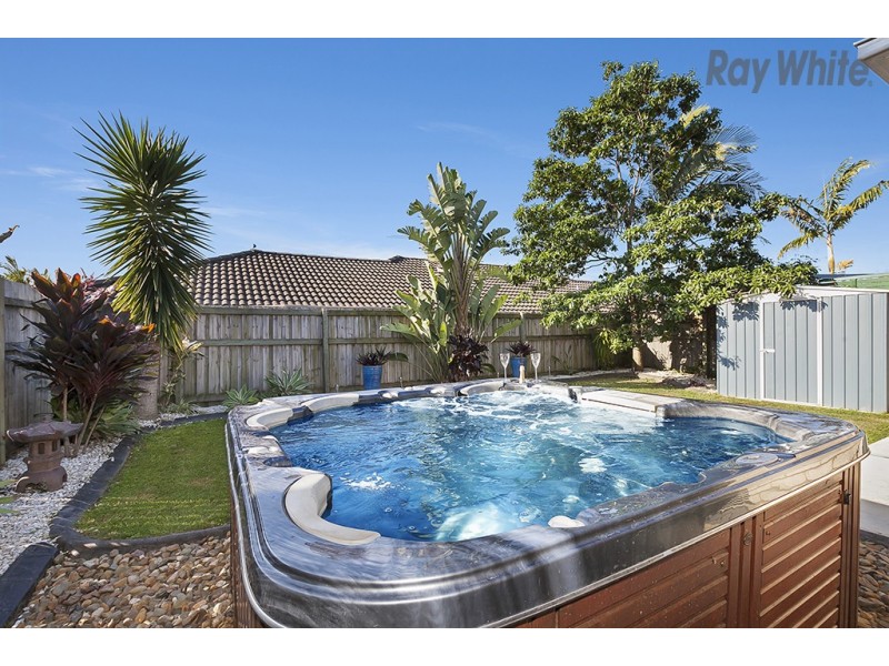 54 Cottonwood Circuit, North Lakes QLD 4509