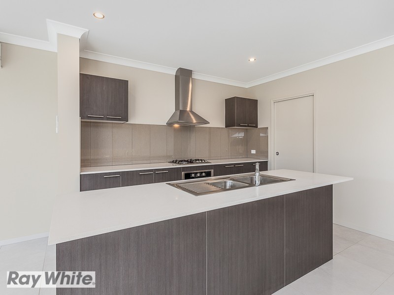 45 Birkdale Street, North Lakes QLD 4509