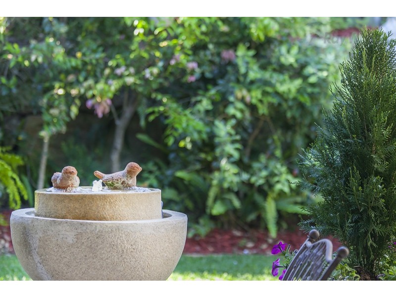 35 Douglas Circuit, North Lakes QLD 4509