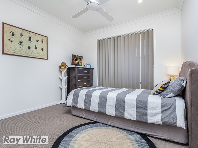 10 Amaranthine Street, Mango Hill QLD 4509