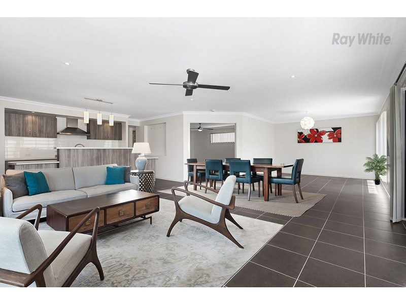 6 Tattler Street, Mango Hill QLD 4509